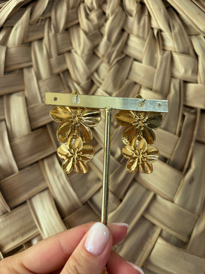 Boucles d'oreilles - Anemone Store